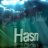 hasn
